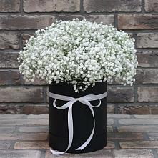 Цветочная композиция из Гипсофила в шляпной коробке в Загорянский