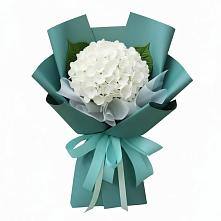 Букет цветов из:  Гортензия в Загорянский